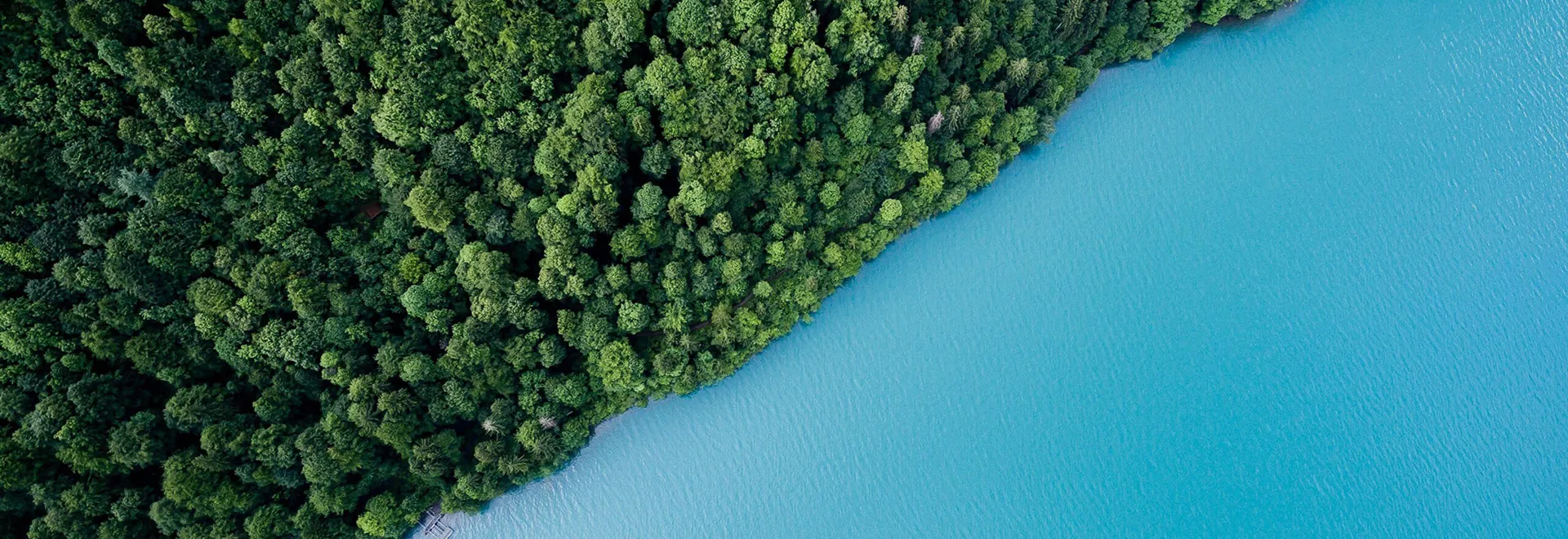 Sustainability