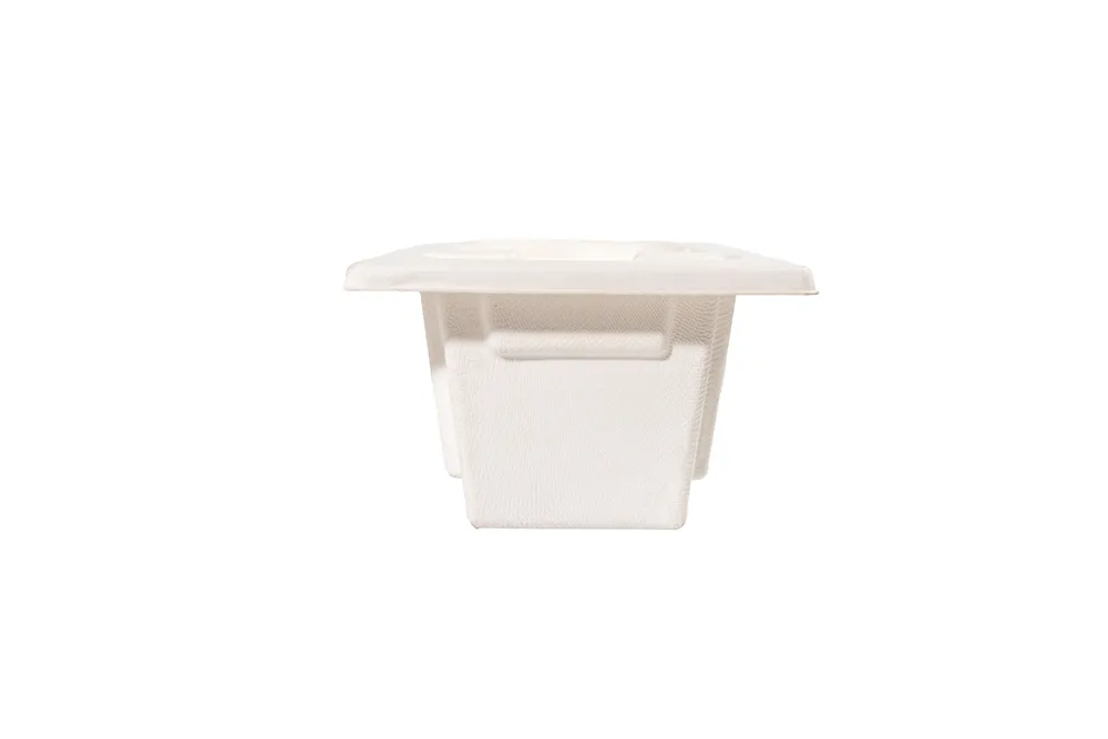 Cosmetic & Skincare Custom Molded Pulp Tray