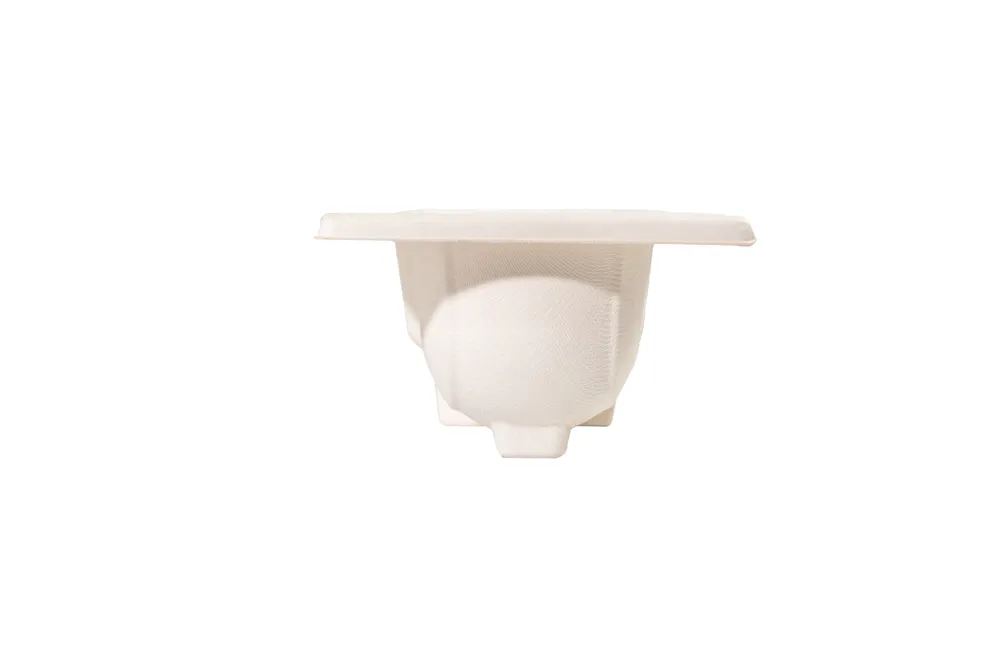 Cosmetic & Skincare Custom Molded Pulp Tray