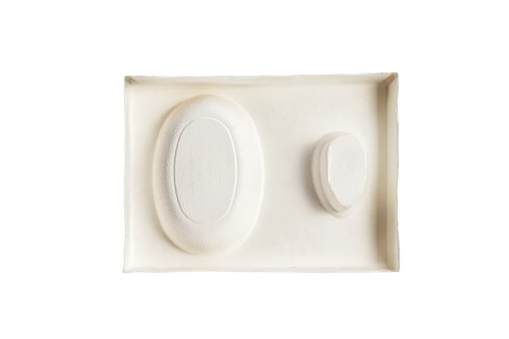 Dual-Slot Molded Pulp Tray