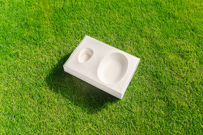 Broad Market Outlook for Molded Pulp: Market Size Projected to Reach USD 15.1 Billion by 2034